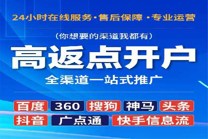 某电商平台SEM竞价广告的转化率提升案例